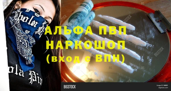 прущие грибы Армянск