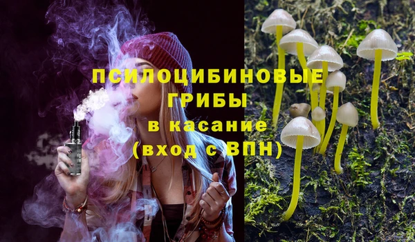 прущие грибы Армянск