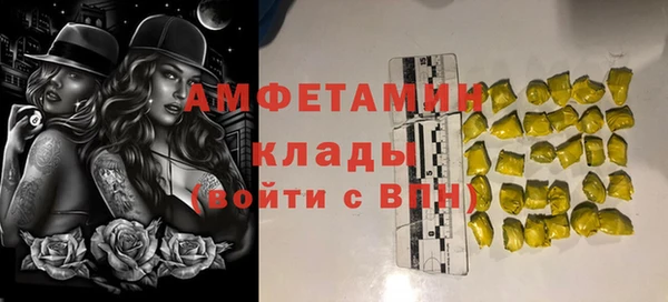 прущие грибы Армянск
