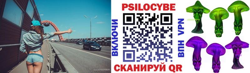 наркошоп  Нытва  Галлюциногенные грибы Psilocybine cubensis 